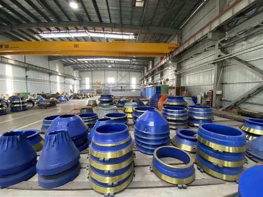 높은 수준의 주름 부품 컵 라인러 콩카브 맨트 콘 크레셔 처리 유형