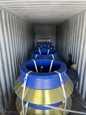 높은 수준의 주름 부품 컵 라인러 콩카브 맨트 콘 크레셔 처리 유형